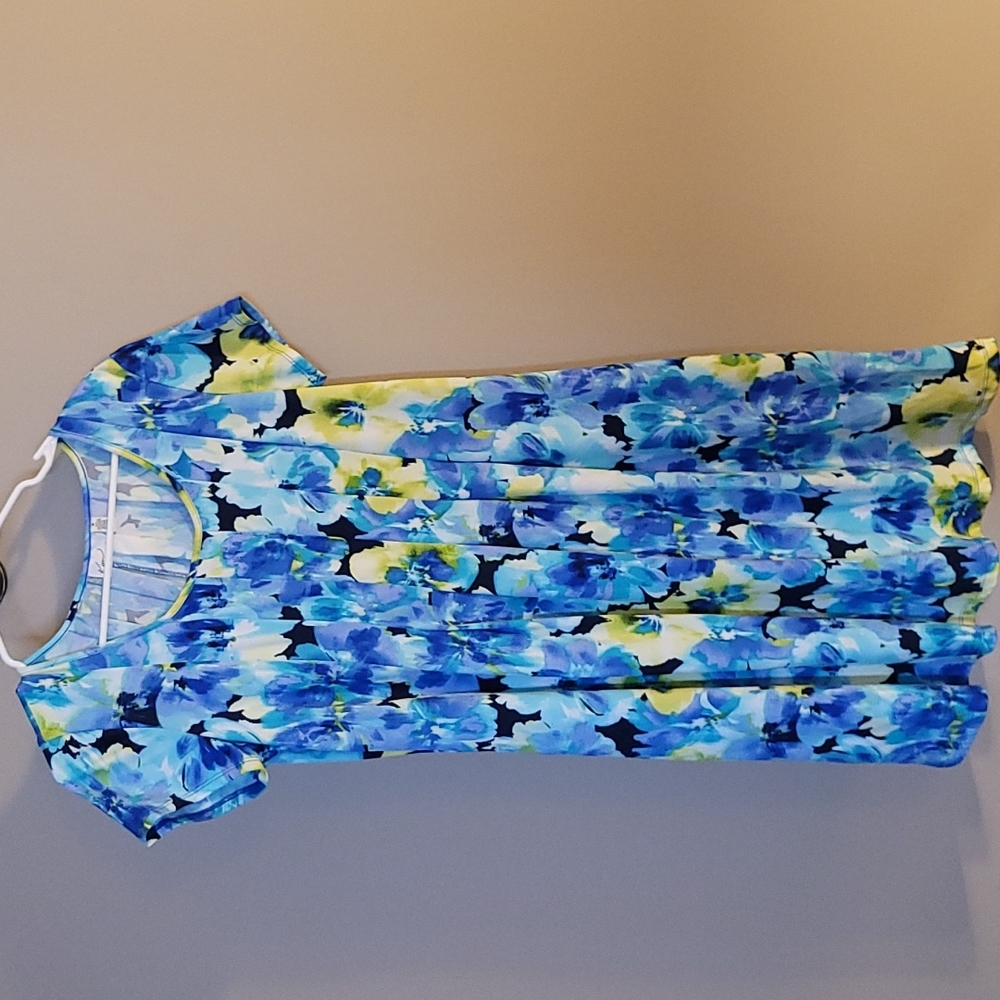 Kim Roger's Dress
